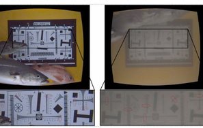  Example images from the Deep Vision system