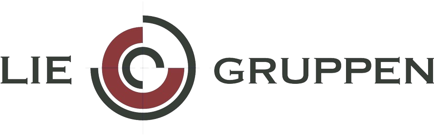 Lie Gruppen logo