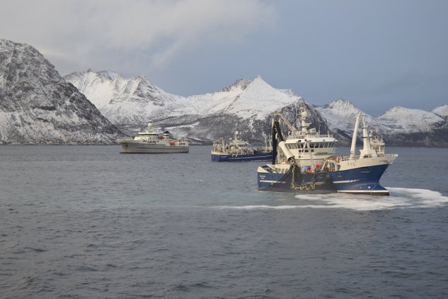 Fishing with the coast fleat