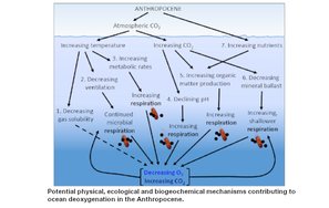 Microbial respiration2