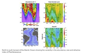 North to South Transect