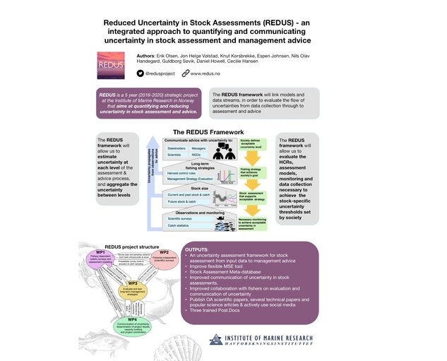 REDUS poster